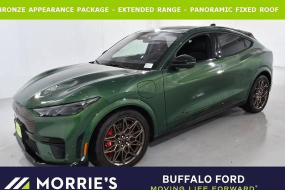 FORD MUSTANG MACH-E 2024 3FMTK4SX9RMA11156 image FORD MUSTANG MACH-E 2024 3FMTK4SX9RMA11156 image